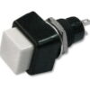 INTERRUPTOR PUSH ON/OFF PANEL SPST BLANCO